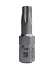 Bity TX25 TORX 25 stal nierdzewna GROT końcówka wkrętakowa 1/4" 25mm