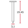 Gwoździe bębnowe papiaki 3,1x38mm / drut 16°/ gładkie / galwanizowane / MINIBOX