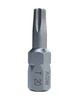 Bity TX20 TORX 20 stal nierdzewna GROT końcówka wkrętakowa 1/4" 25mm